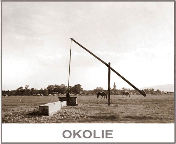 Okolie
